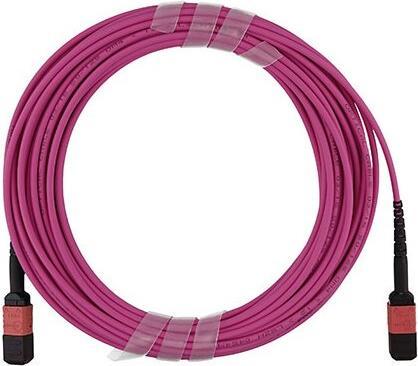 Produktbild BlueOptics LWL MTP Trunkkabel OM4 16 Kerne 30 Meter Typ C (30 m)