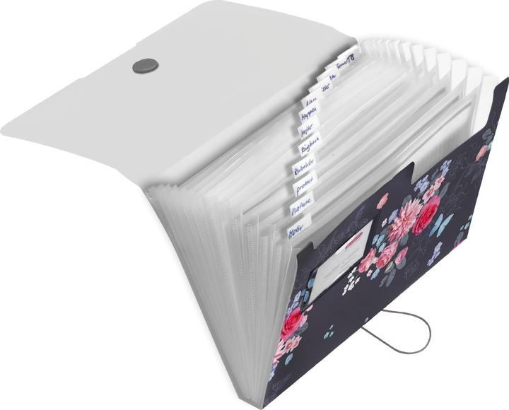 Immagine prodotto Herlitz Fascicolo ventola PP A4 (A4, 1 x)