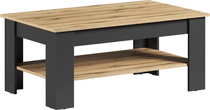Produktbild Trendteam Universal (110 x 65 x 47 cm)