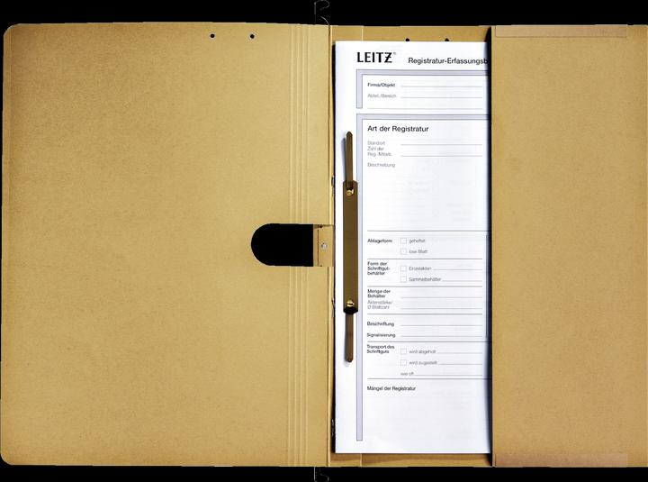 Actual product image Leitz ALPHA hanging file, A4, commercial stapling, natron (A4, 1 x)
