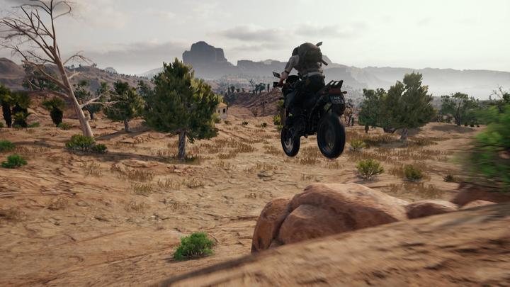 Immagine prodotto Sony PlayerUnknown's Battlegrounds (PS4, DE)