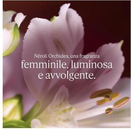 Produktbild L'Occitane Duftende Creme mit Neroli und Orchidee (75 ml)