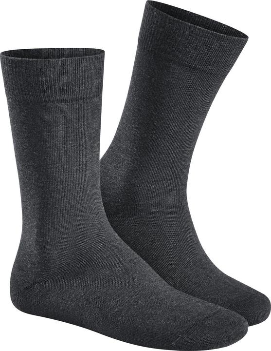 Actual product image Hudson Men socks (Single pack, 41 - 42)