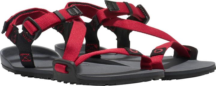Actual product image Xero Shoes Z-Trail (34)