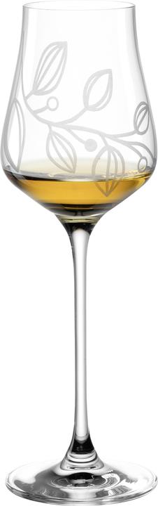 Produktbild Leonardo Grappaglas Boccio 210 ml, 6 Stück, Transparent (2.10 dl, 6 x, Likörgläser + Grappagläser)