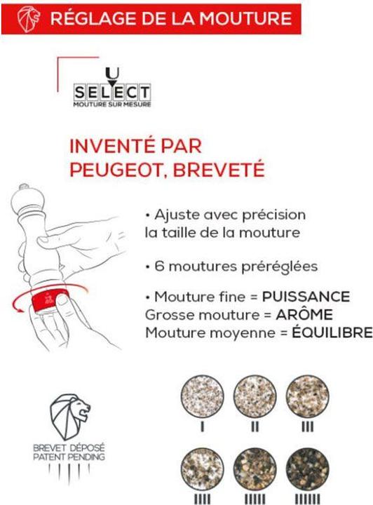 Actual product image Peugeot Paris (Salt)