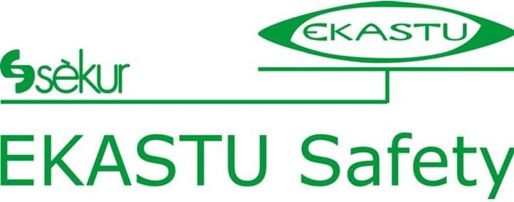 Produktbild Ekastu Sekur Partikelfilter 200 P3R D 422 3 (Atemschutzmaske Ersatzfilter)
