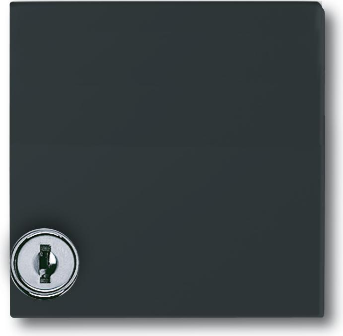 Image du produit Busch-Jaeger Anneau intermédiaire avec serrure 2118GKSL-35 IP44 tous temps anthracite 2118GKSL-35 (2118GKSL-35)