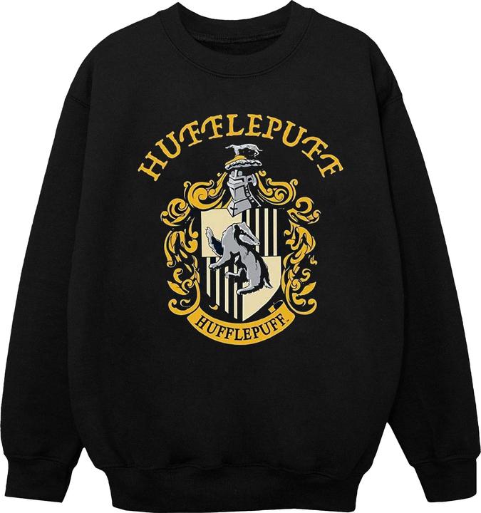 Boys Gryffindor Cotton Sweatshirt
