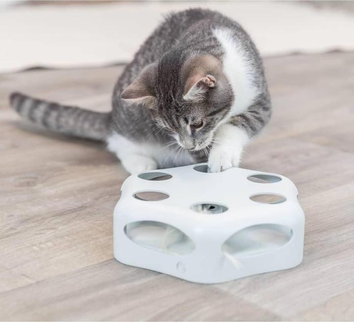 Image du produit Trixie Plume qui tourne (Jouet d'occupation chat)