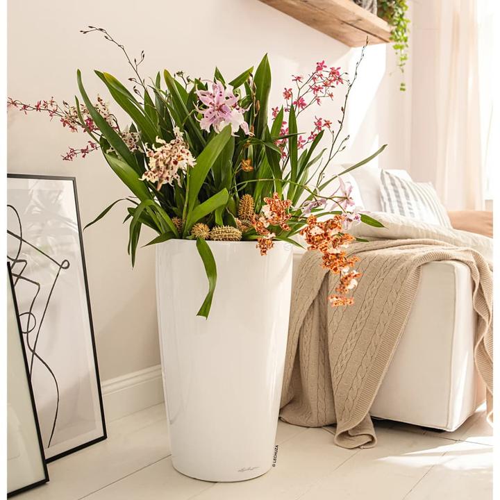 Actual product image Lechuza Rondo (40 cm)