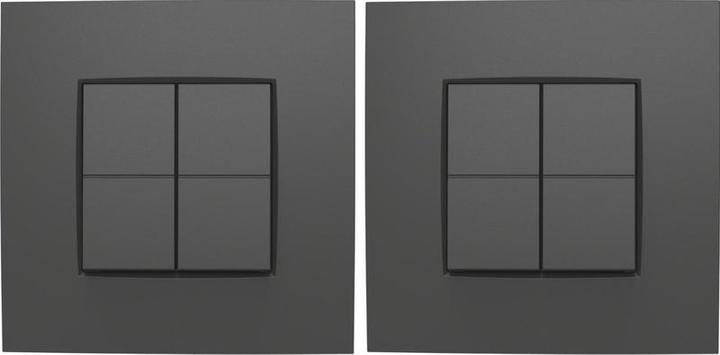 Image du produit Niko Dim Switch für Philips Hue - intensive Anthrazit - 2 Teile