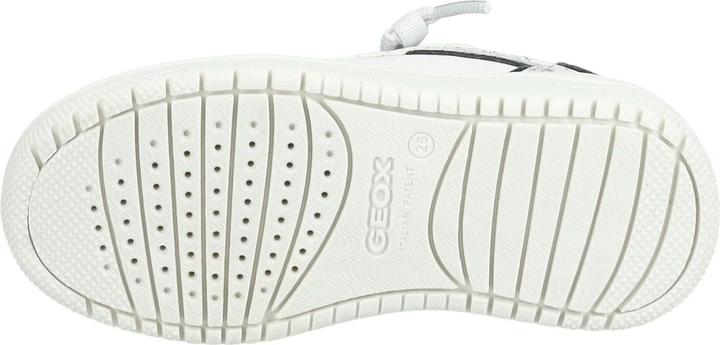 Immagine prodotto Geox Sneaker (39)