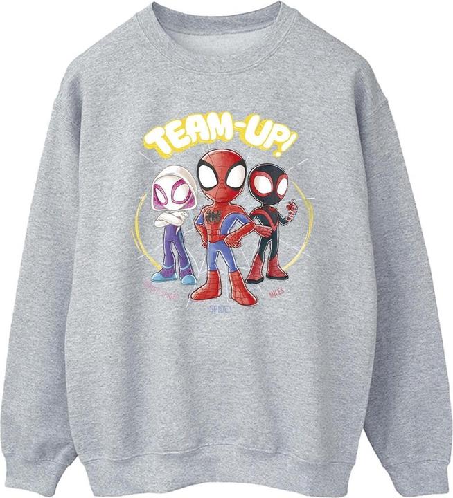 Spidey And His Amazing Friends Sketch Sweatshirt (4XL)