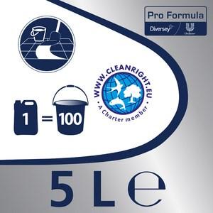 Immagine prodotto Cif Detergente Professionale per Piastrelle Laminato Plastica Ceramica Mela 6 Canister Plastica 6l