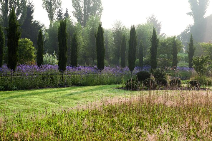 Produktbild Meine Vision wird Garten (Deutsch, Peter Janke, 2012)