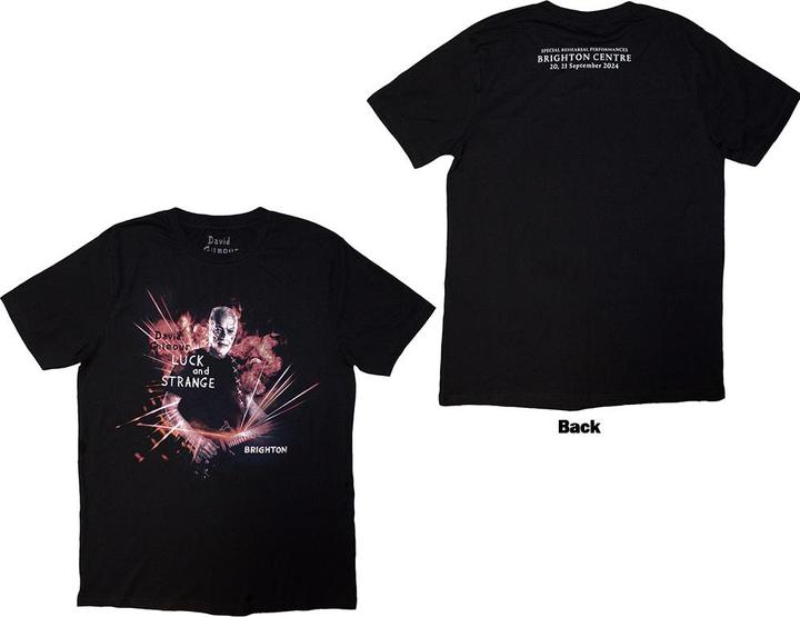 David Gilmour Luck & Strange Brighton (M)