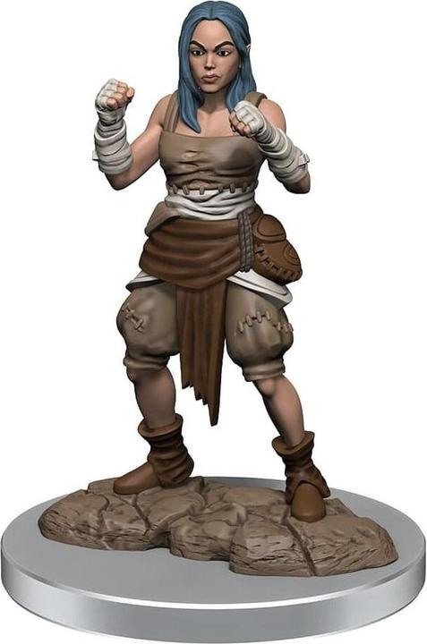 Produktbild Wizkids Pathfinder Battles Deep Cuts pack 2 miniatures à peindre Half-Elf Monk Female (carton de 2)
