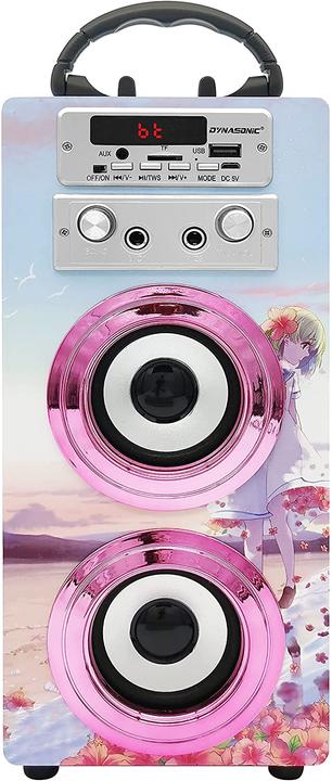 Actual product image Dynasonic Karaoke toys, 025-17