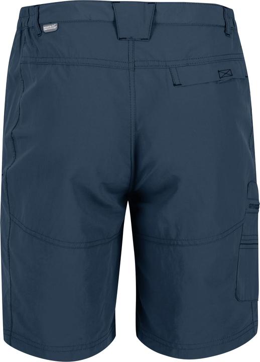 Actual product image Regatta Leesville II Shorts Hiking (Frequency band 38 (2600 MHz))