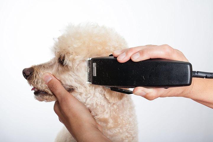 Produktbild Moser Hunde-Haarschneidemaschine (Hund)