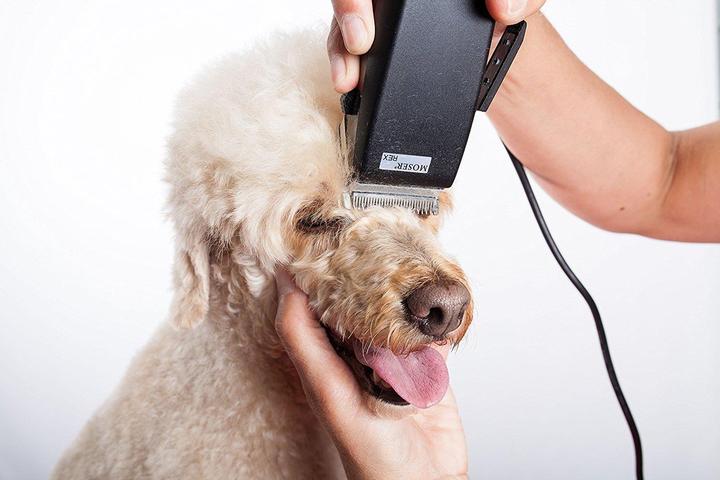Produktbild Moser Hunde-Haarschneidemaschine (Hund)