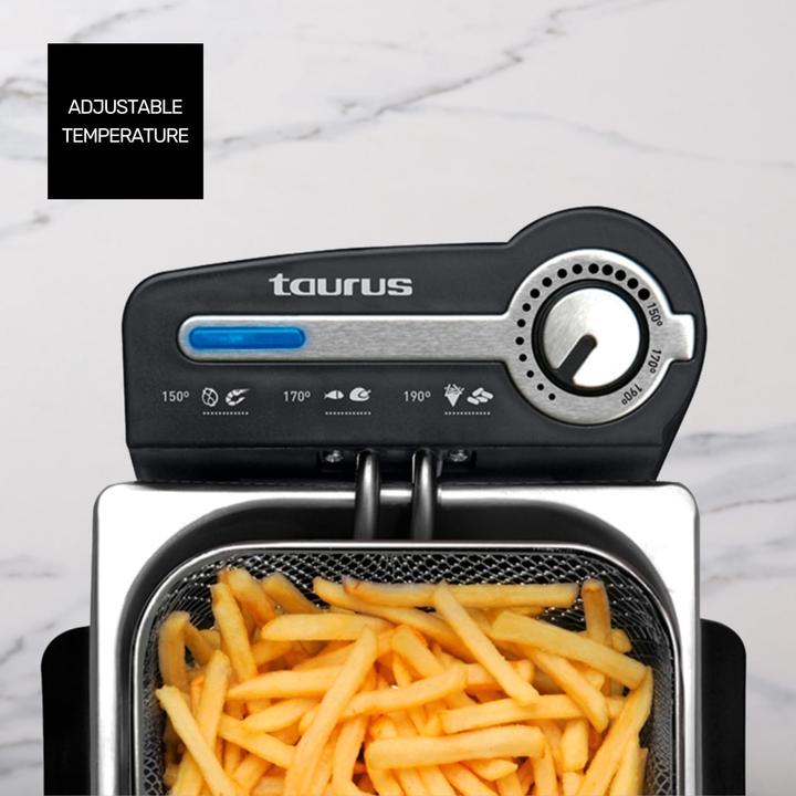 Actual product image Taurus Professional 2 Plus