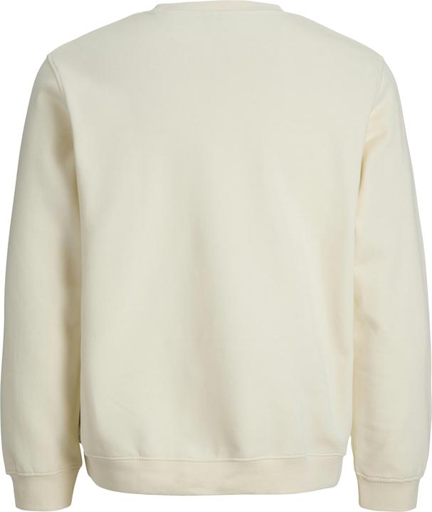 Actual product image Jack & Jones Jcotier Print Sweat Crew Neck Sn Jnr (128)