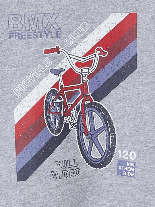 Image du produit Vertbaudet Sweat à capuche garçon (86)