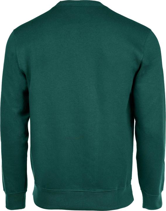 Actual product image Champion Sweatshirt Casual Loose-fitting crewneck sweatshirt (L)