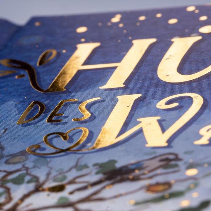 Produktbild Hüterin des Waldes 4: Spuren im Schnee (Deutsch, Mona Larch, Julia Walther, 2021)