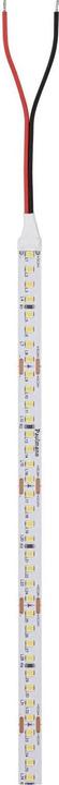 Produktbild Paulmann Pro Strip Silver P150 (Tageslicht, 500 cm, Indoor)