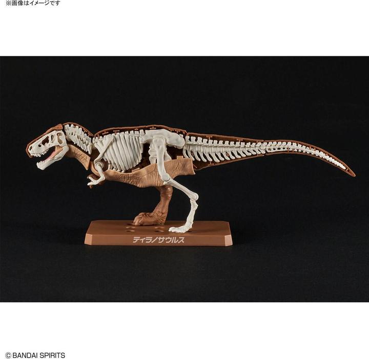 Actual product image Bandai DINOSAUR - New Dinosaur Plastic Tyrannosaurus (Tentative) - Model Kit