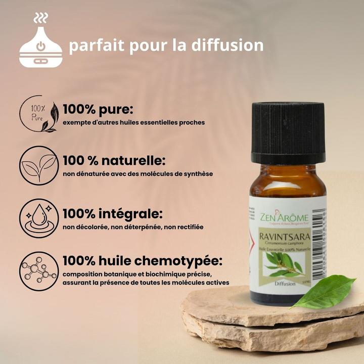 Produktbild Zen Arôme Raumduft - Duftöl ätherisches Ravintsara Aromaöl No.46