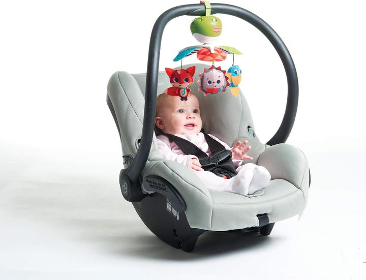 Actual product image Tiny Love Take Along- Tiny Princess Tales