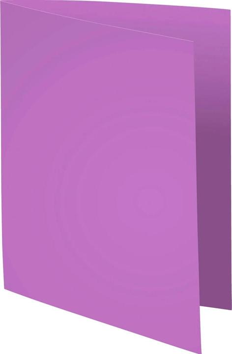 Produktbild Exacompta Sammelmappen - Aktendeckel (24 x 32 cm, 100 x)