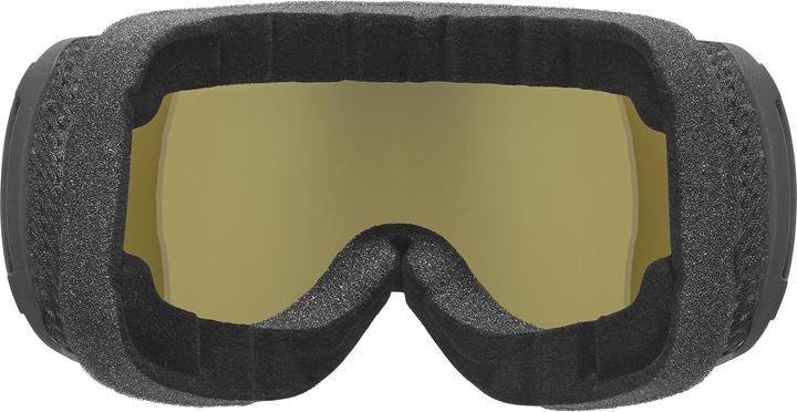Image du produit Uvex Sports Downhill 2100 CV
