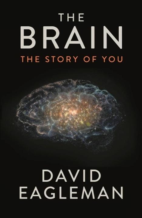 Produktbild The Brain (Englisch, David Eagleman, 2016)