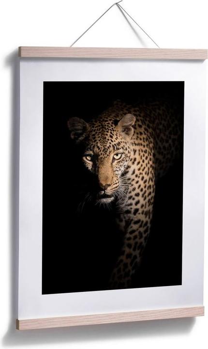 Produktbild Trenddeko Der Leopard (30 x 40 cm)