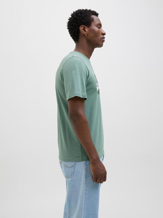 Actual product image Jack & Jones Jjhawaii Shape Tee Ss Crew Neck Ln (XS)