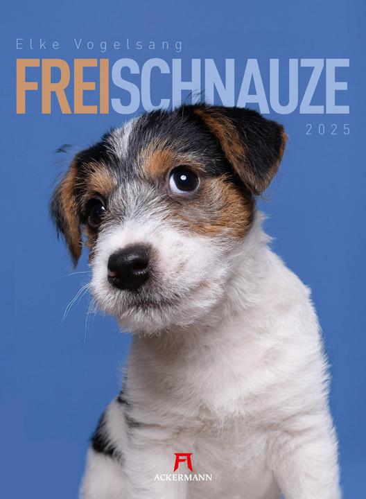 Frei Schnauze - Kalender 2025 (33 x 45 cm, Harter Einband, Deutsch)