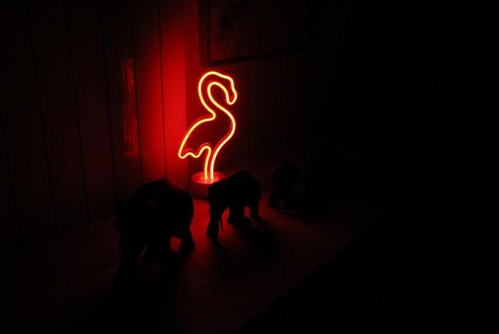 Actual product image Happy Lamp Neon Lamp Flamingo