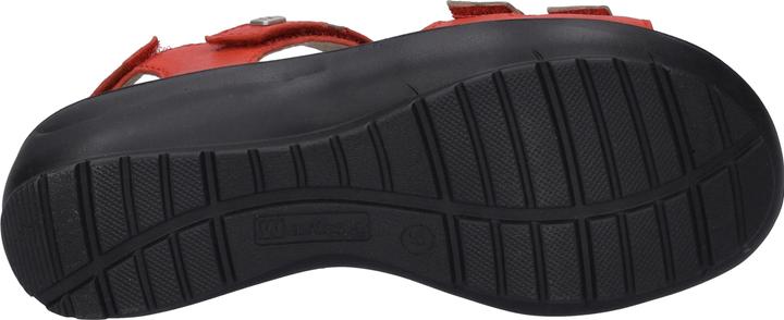Produktbild Westland 25902-644 (42)