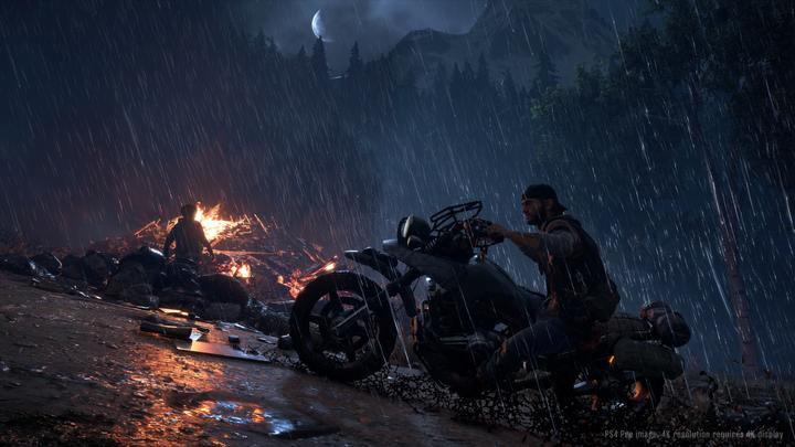 Image du produit Sony Days Gone, PS4 Standard PlayStation 4 (PS4)