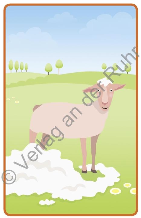 Produktbild Bildergeschichten – Tiere (Deutsch, 2020)