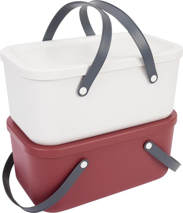 Rotho Set Tragekorb 12l 2 tlg. RUMA (1 x)