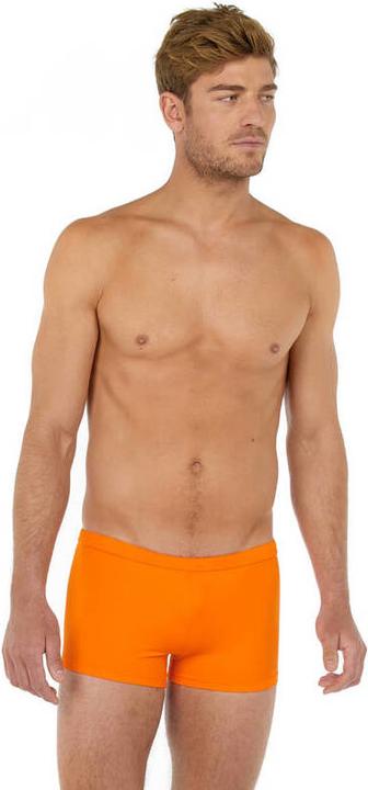 Actual product image HOM Swim Shorts Sea Life (L)