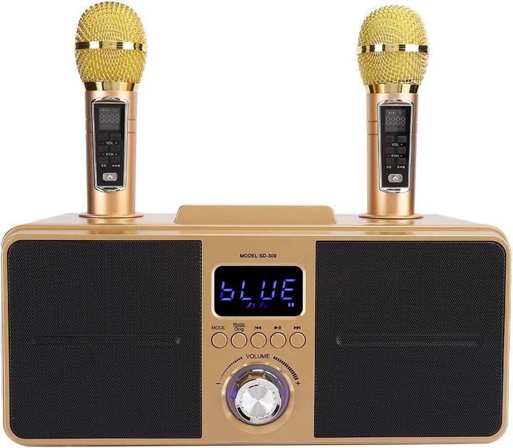 Produktbild Bewinner1 Karaoke Lautsprecher, golden