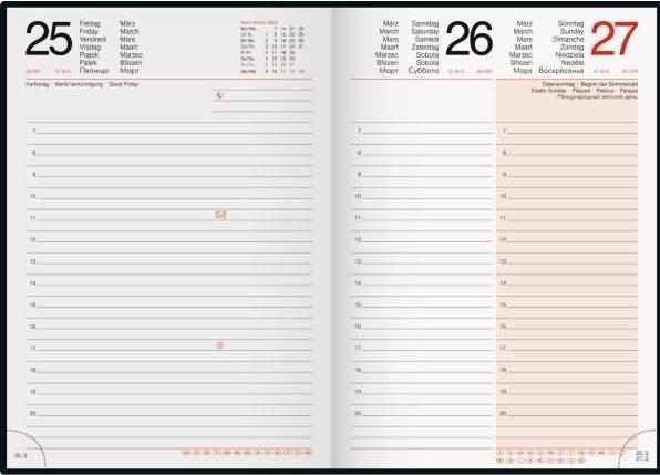 Produktbild Rido Buchkalender Mentor 14,8x20,8cm 1 Tag/Seite Kunstleder Monstera altrosa 2025 (A5, Deutsch, Englisch, Französisch, Russisch, Polnisch, Niederländisch, Tschechisch)