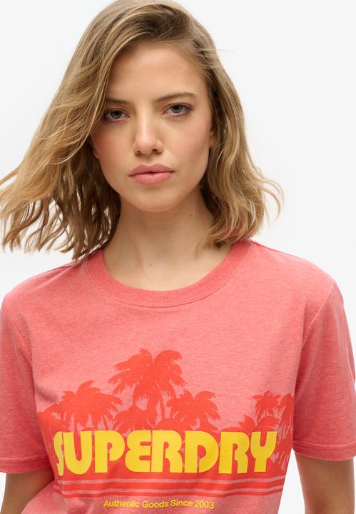 Actual product image Superdry Outdoor Stripe Relaxed Tee (10)